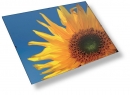 Euroklip 70 x 100 cm plexi